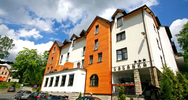 Warsztaty z Sasanka - co to jest i jak mogą odmienić twoje życie
